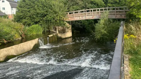 Julia Gregory/BBC The River Mole