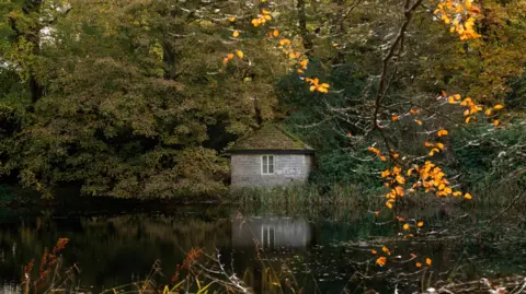 National Trust images, Rebecca Hughes Golden autumn colours at Wallington Estate in Norhumberland 