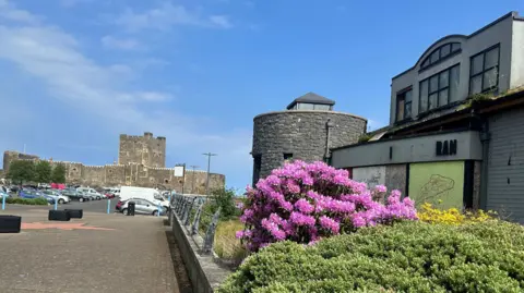 The former Swift site with Carrickfergus castle in the background. 