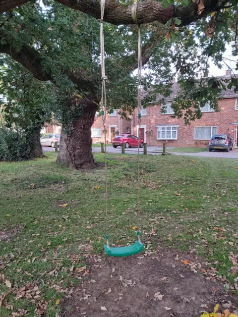 Samantha Sutor A tree swing with a green plastic seat is hanging from a giant oak tree on green space