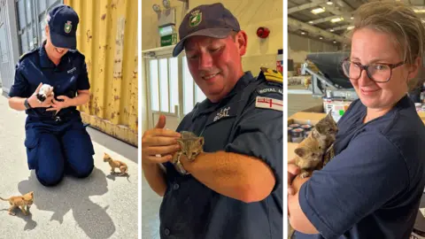 Royal Navy In the first picture PO Kirsty Scott is on her knees next to the containers, lifting up a little cat, while another two look on. In the second Lt Nathan Boal cradles a kitten. In the third PO Kirsty Scott is holding two of them.