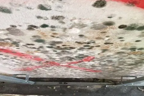 A close up of mouldy wall panels