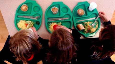 Three children eating a school dinner. Images shows the back of their head with an overview of their plate. The plate is green and has salad, bread and a small cupcake.
