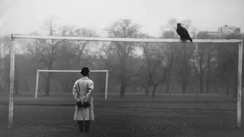 Getty Images Goldie the eagle perched on top of a football goal frame while a man wearing a hat and coat stands with his back to the camera