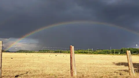 A field of brown grass sits below a dark foreboding sky with a full rainbow spanning through the sky. A wire fence and wooden posts passes through the foreground. A horizon of green trees can be seen in the background.