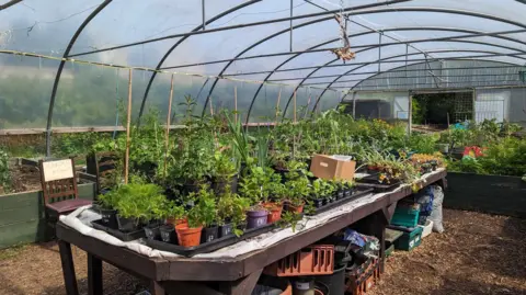 Plants on a large table at a community garden, under a clear canopy