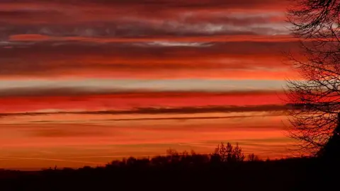 BBC Weather Watchers / Earlystartalex A bright pink and orange sky over a dark tree-lined landscape. There are wide clouds filling the sky, making it appear striped as the sun lights it up in various shades of red and orange.