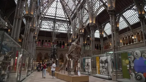 Inside the the Oxford Museum of Natural History.