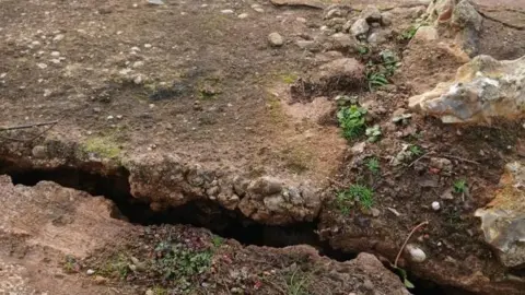 A general view of a large crack in a wall structure. Weeds are growing across the structure. 