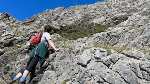 The National Botanical Garden of Wales A person climbs a steep, grey rocky slope on a bright sunny day, using their hands for balance. They wear a backpack and outdoor clothing, with a clear blue sky above.