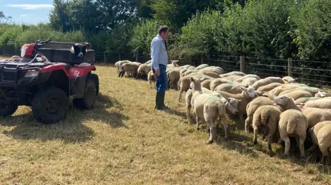 Adrian Parsons A farmer in a blue top and trousers and wearing wellies stands near a flock of more than 30 sheep. There is a fence and a hedge to their right and a re motorised vehicle to the left. The head of a black and white dog can just be spotted in the vehicle.