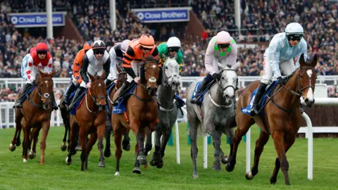 Reuters Eight horses, majority dark brown are seated by eight jockeys wearing brightly coloured silks and helmets. There are two greys in the centre of the pack. In the background there are grandstands full of people spectating.