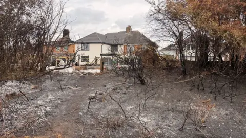 The charred remains of a garden in the foreground, with houses in the distance. There are bits of shrubbery poking out of the ground.