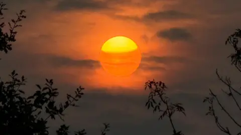 Peter Barrett / BBC Weather Watchers This morning's sunrise in Hornchurch, East London