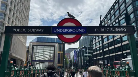BBC/Harry Low In the foreground is a blue and red Tube roundel between a 'Public subway' sign with a pigeon on top. In the background is a red double-decker bus and people walking along the pavement