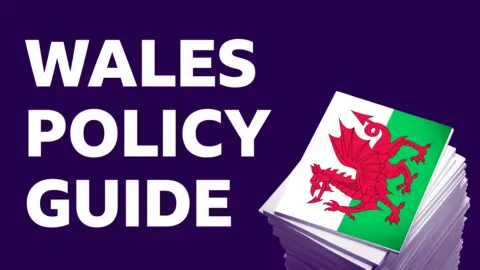 Graphic with the words “Wales Policy Guide” in bold white text on a dark purple background. To the right, a stack of paper is shown with the Welsh flag shown on the top piece.