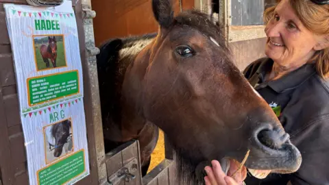 A brown horse pokes it's head out of the stable and appears to be smiling. The horse 