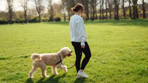 The image shows a woman wearing a white jumper and black leggings walking a small dog in a grassy park. Trees can also be seen in the background.