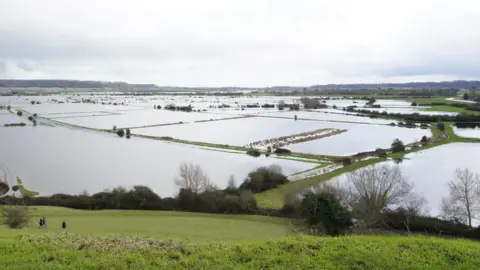 The flooded Somerset landscape. Many fields are underwater. Patches of green can be seen in places were the water has not reached. Trees and hedges can been seen poking above the water.