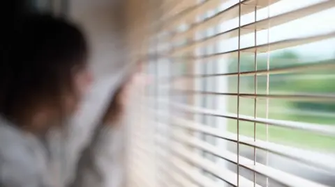 An anonymous woman in a grey hoodie looks out the window through pine venetian blinds. She is out of focus but an outline of dark hair can be seen 
