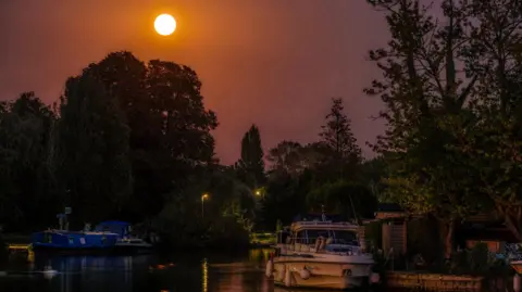 A bright Moon shines down on a canal or river scene with boats moored on the water. Trees can be seen around the banks.