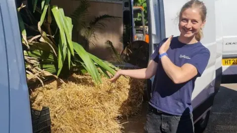 CUBG Kathryn Bray poses next to a van. She has fair hair and is wearing a blue T-shirt. Inside the van is a large palm in a pot, balanced on hay bales.