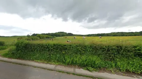 Google Fields, including some animals, are in the middle of the image going from left to right. A road and a long hedge is at the bottom of the photo.
