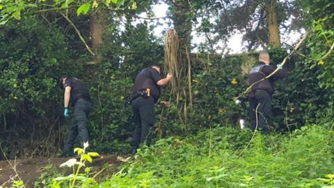 Police searching bushes