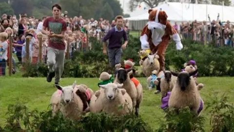 Frampton Fundraisers Sheep running over grass as a person dressed as a bear chases behind him with two boys.