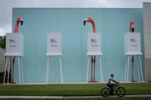 Marco Bello/Reuters Dummy flamingos are seen outside the Palm Beach County Supervisor of Elections during the 2024 U.S. presidential election on Election Day in West Palm Beach, Florida, U.S., November 5, 2024.