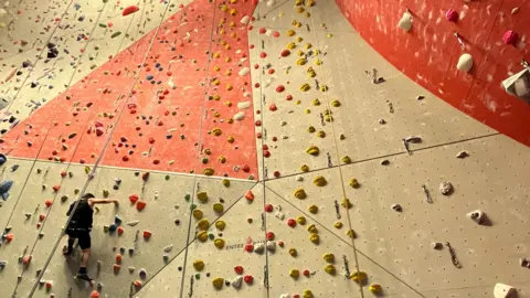 A person, attached to ropes, is half way up an indoor climbing wall. Ropes are hanging down the wall. The climbing holds vary in colours. 