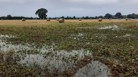 BBC Weather Watchers/Swiftland Cream Terreno pantanoso tras las inundaciones en Inglaterra