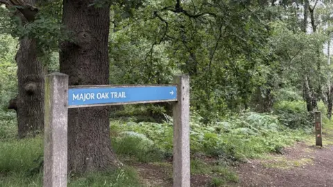 Sign for Major Oak trail