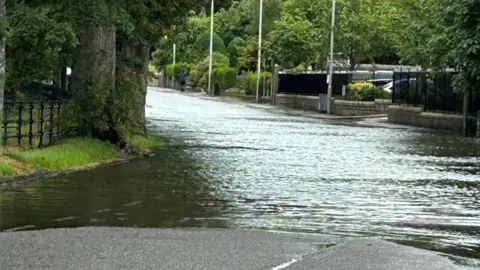 A large section of road, lined by trees, is flooded, leaving a sizeable pool of water.