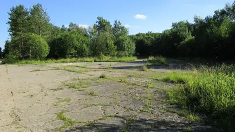 Remains of a concrete runway on the former RAF North Witham airbase. There are weeds growing through cracks and it is surrounded by tall trees.