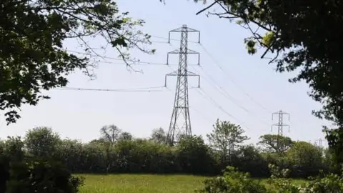 Two electricity pylons stand in a green field