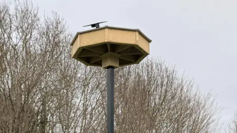Malvern Hills District Council An octagonal wooden structure on top of a metal pole. There are trees in the distance. The wooden structure appears to have compartments.