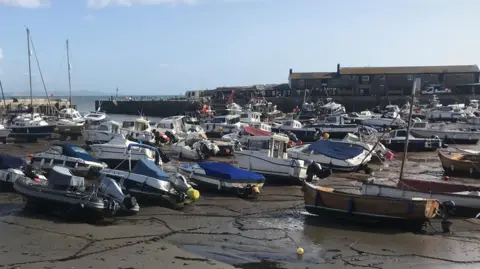 LDRS Scores of small boats sit on the wet sand in Lyme Regis Harbour where the tide is out. The Cobb stone harbour wall stretches across the back of the picture with the sea just about visible through the harbour entrance. On top of the harbour wall is a long two-storey building with a pitched roof.