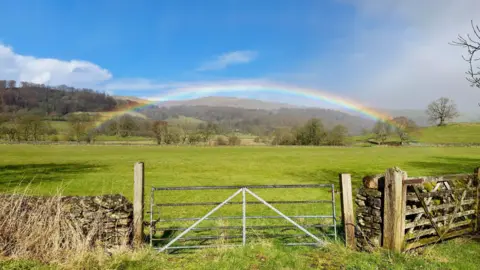 Jonny Gios A rainbow with distinct red, yellow and blue colours arched over some fields. There are trees on a hill in the distance and a stone wall with a metal fence in the foreground. The sky is bright blue with a few wispy clouds in the sky.