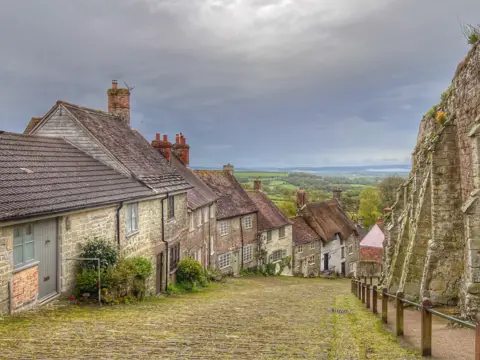 CourierAnt SATURDAY - Shaftesbury