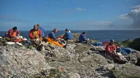 A group of hunters sitting upon rocks at the top of a cliff, gutting and feathering gannets against a backdrop of blue sea and skies.