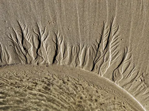 Andrew Martin RiIpple shapes in sand