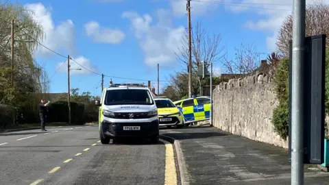 BBC A police van and two police cars parked on a residential road. There are houses, trees, and a garden wall visible. It is a sunny day with blue sky and very light clouds.
