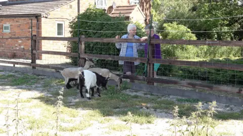Mandy and Stevie standing next to a fence on their small holding. There are three goats at the other side of the fence .