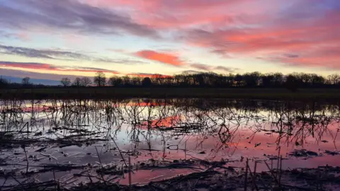 Shurlock Homes A flooded field with grass poking through the water. The sky is red at sunrise and there are silhouetted trees on the far side of the field against the sky. 