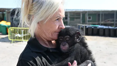 Wingham Wildlife Park Jackie Binskin stood outdoors, being cuddled by a small baby chimpanzee.