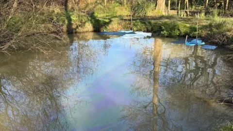 A pond has a visible rainbow sheen of oil across the water surface. A few blue absorbent pads are floating near the bank, with trees and shrubs reflected in the water.