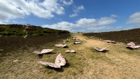 Jack Conlon/BBC Butterfly sculptures sit on the moorland in Haworth as part of the trail.