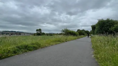 A riverside road with a grass verge and a walker in the distance with a dog on an overcast day.