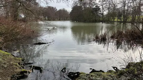 Leicestershire Wildlife Hospital Wistow Lake